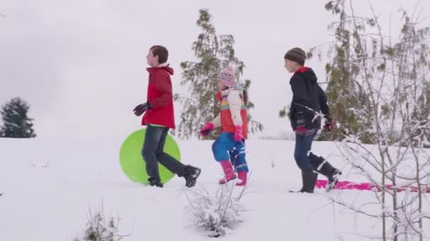 Bambini Che Camminano Sulla Neve Con Slitte Inverno — Video Stock