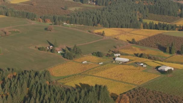 Oregon 'un Willamette Vadisi Şarap Ülkesi' nin hava görüntüsü. Cineflex ve RED Epic-W Helyum ile çekilmiştir..