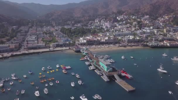 カリフォルニア州カタリナ島アバロン港と桟橋の空中写真 — ストック動画