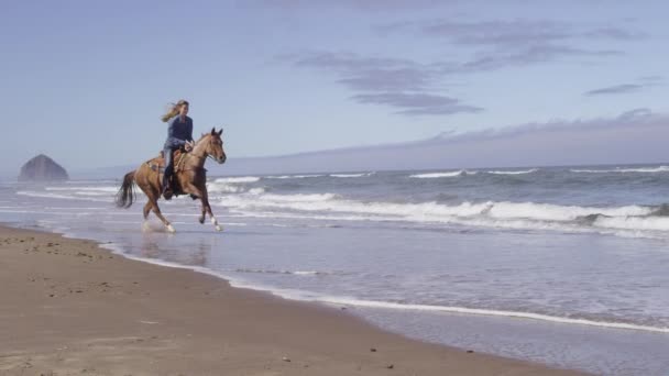 Frauen Reiten Pferde Zeitlupe Strand — Stockvideo