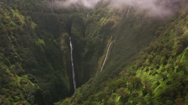 Maui Hawaï Circa 2018 Luchtfoto Van Honokohau Falls Maui Opgenomen — Stockvideo