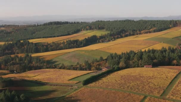 Luchtfoto Van Oregon Willamette Valley Wine Country Opgenomen Met Cineflex — Stockvideo