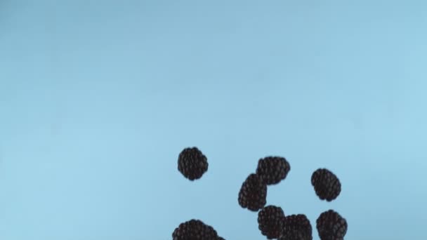Blackberries Cámara Lenta Filmado Con Phantom Flex 1000 Fotogramas Por — Vídeo de stock