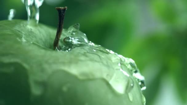 Salpicaduras Agua Manzana Cámara Lenta — Vídeo de stock