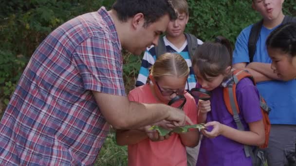 Kinder Sommerlager Betrachten Blatt Mit Führer — Stockvideo