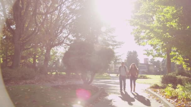 Студенты Колледжа Территории Кампуса Идут Встречу Группой — стоковое видео