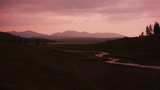 Bäck Som Rinner Genom Yellowstone National Park Vid Solnedgången — Stockvideo