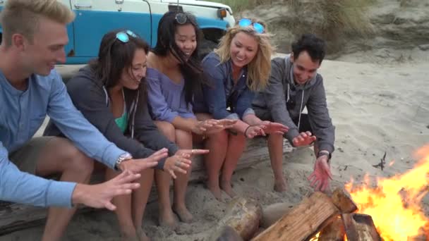 Grupa Przyjaciół Plaży Spędzających Czas Przy Ognisku — Wideo stockowe