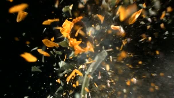 Folyékony Nitrogénbe Fagyott Virág Lassítva Robban Fel Felvétel Fekete Háttér — Stock videók