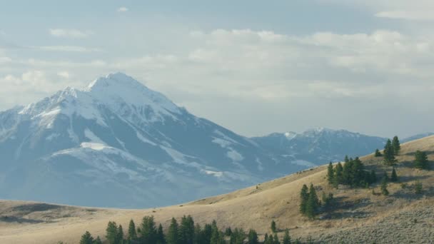 Montana Belle Scène Montagneuse Séquences Aériennes — Video