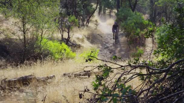 Uomo Sella Alla Mountain Bike Natura — Video Stock