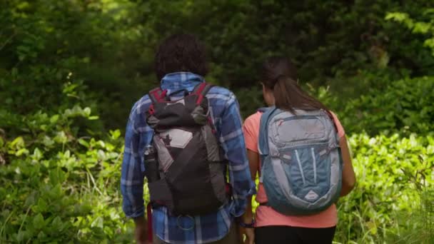 Caminhadas Casal Através Floresta — Vídeo de Stock