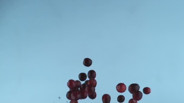 Fresh Cranberries Slow Motion Shot Phantom Flex 1000 Frames Second — Stock Video