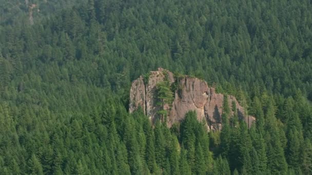 Oregon Circa 2017 Aerial Shot Rock Outcropping Oregon Forest — Stock video