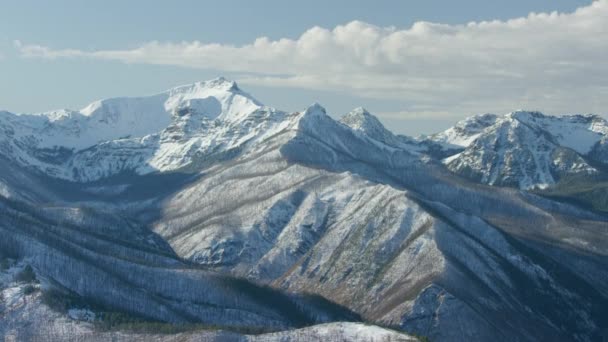 Landschappelijk Uitzicht Prachtige Natuur Montana Usa Luchtfoto Van Hoogland — Stockvideo