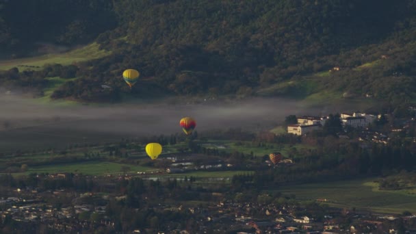 Légi Kilátás Hőlégballonok Felett Napa Valley Kalifornia — Stock videók