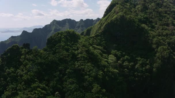 2018年頃 ハワイ州オアフ島 険しい崖や森の空中ビュー CineflexとRed Epic Heliumで撮影 — ストック動画