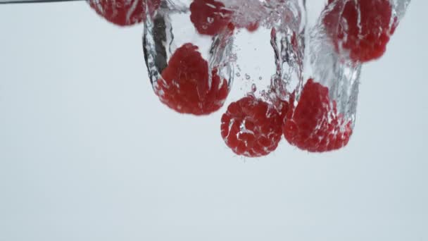 Slow Motion Shot Raspberries Splashing Water Shot Phantom Flex Camera — Stock Video