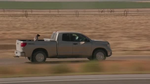 Wyoming Circa 2018 Camionnette Conduite Sur Route Rurale — Video