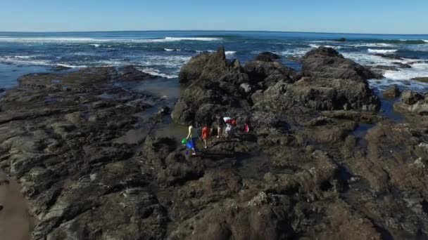 Plano Aéreo Familia Las Rocas Que Buscan Las Piscinas Marea — Vídeos de Stock