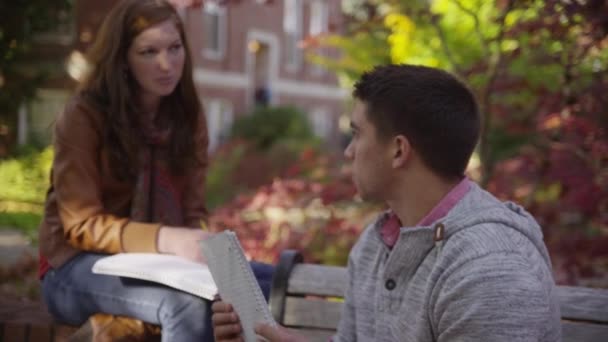 Студенты Колледжа Встречаются Дворе — стоковое видео