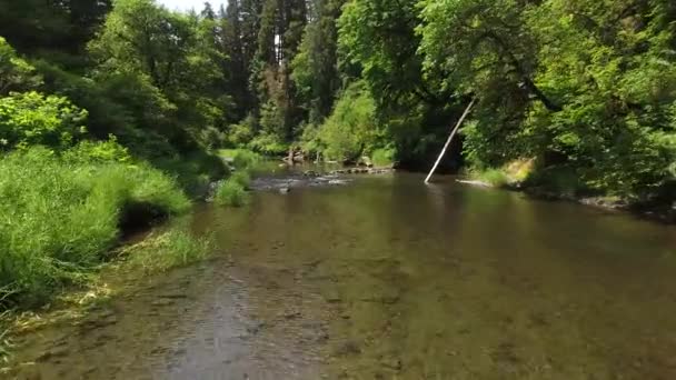 Vue Aérienne Ruisseau Oregon États Unis — Video