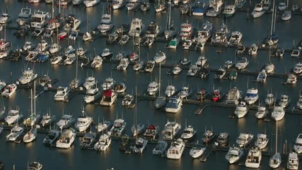 Newport Oregon 2017 Dolaylarında Yaquina Körfezi Yanaşan Teknelerin Hava Görüntüleri — Stok video