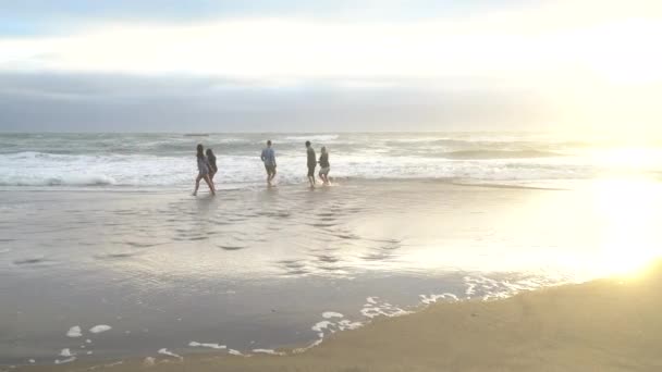 サーフィンで遊ぶビーチでの友人のグループ — ストック動画