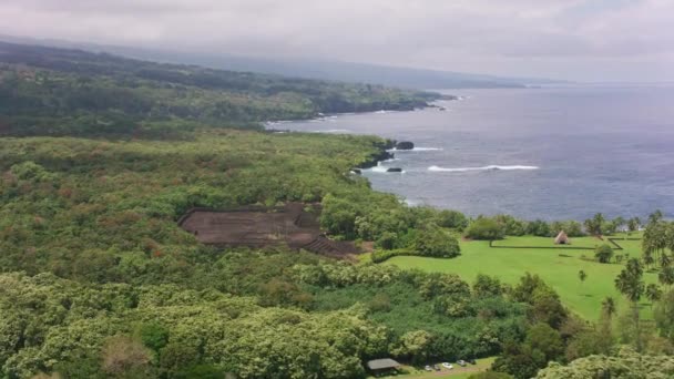 2018年頃 ハワイ州マウイ島 空の景色Kahanu Garden Ilanihale Heau古代遺跡 CineflexとRed Epic Heliumで撮影 — ストック動画