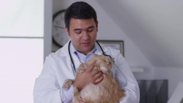 抱着一只猫的兽医 — 图库视频影像