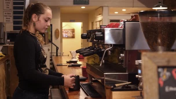 Mujer Trabajando Una Cafetería — Vídeo de stock