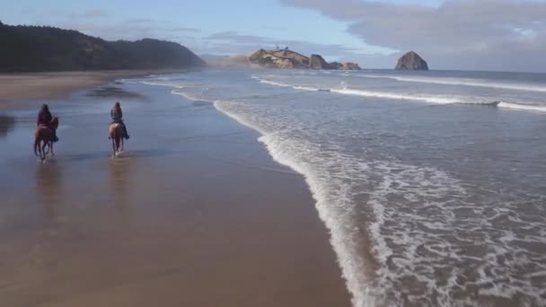 Вид Воздуха Женщин Верховой Езды Пляже — стоковое видео
