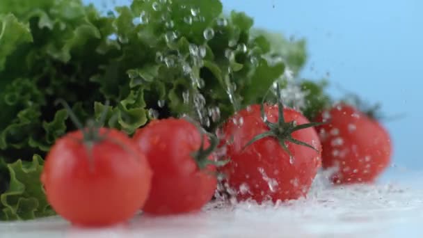 Wasser Spritzt Auf Salat Und Tomaten — Stockvideo