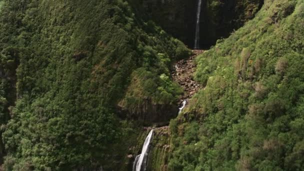 Molokai Hawaii Circa 2018 Vista Aerea Puapua Falls Molokai Girato — Video Stock