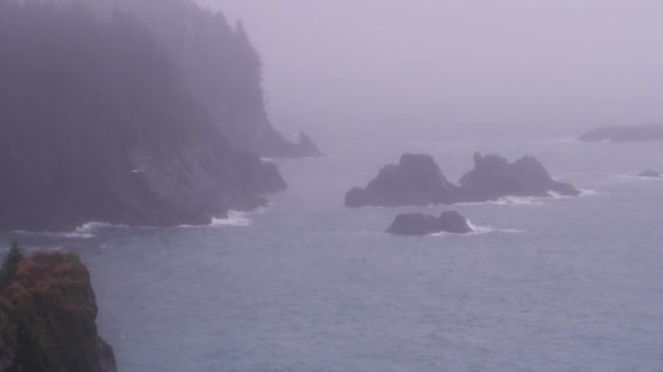 Juneau Alaska 2018 Luftaufnahme Der Felsigen Küste Bei Nebel Und — Stockvideo