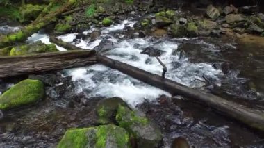 Kayalar ve kütüklerle akarsu