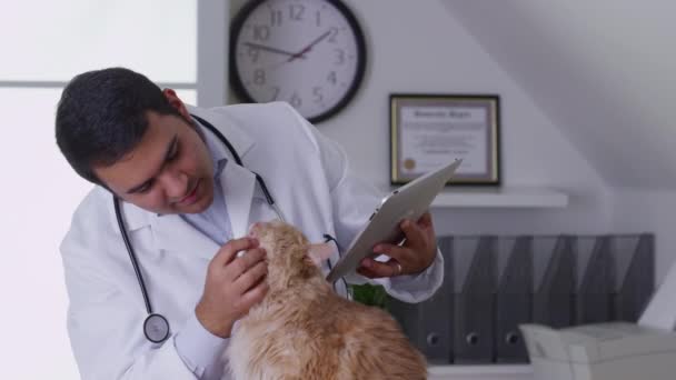 Veterinární Lékař Pracující Digitální Tabletou — Stock video
