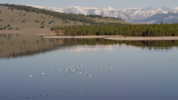 Park Narodowy Yellowstone Wyoming Widok Lotu Ptaka Park Narodowy Yellowstone — Wideo stockowe