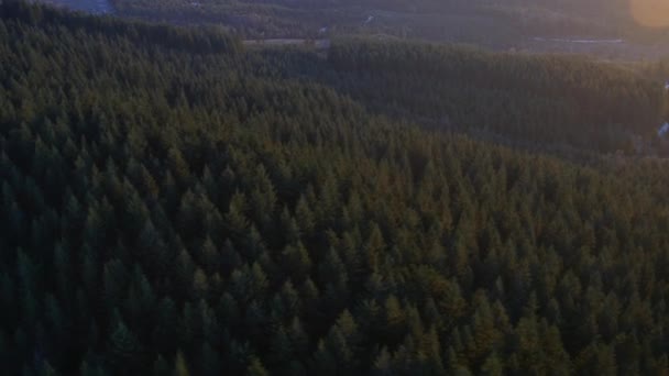 Fotografia Aérea Oregon Forest Ultra — Vídeo de Stock