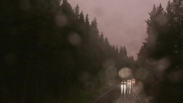 Rijden Donkere Regenachtige Omstandigheden Het Yellowstone National Park — Stockvideo