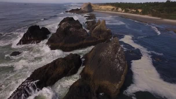 Letecký Snímek Pobřeží Oregonu Seal Rock — Stock video