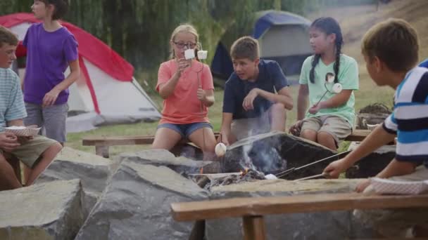 キャンプファイヤーの周りのサマーキャンプの子供たち — ストック動画