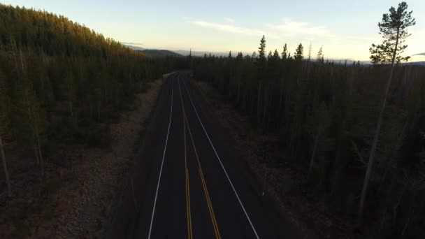 Luchtfoto Van Snelweg Bos Oregon — Stockvideo