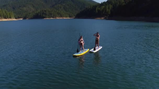 空中无人驾驶飞机拍的一对夫妇划桨站在湖上划桨板上 — 图库视频影像