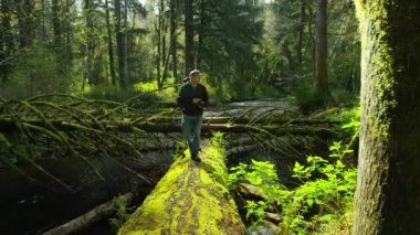 Oregon Ormanı 'nda fotoğraf çeken bir sırt çantası.