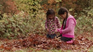 Sonbaharda iki genç kız Yaprak yığınına bakar