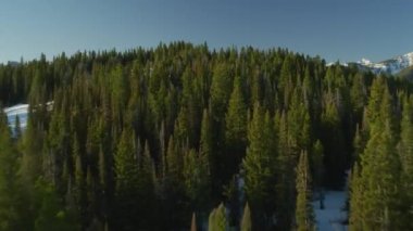 Yellowstone Ulusal Parkı, Wyoming. Yellowstone Ulusal Parkı 'nın havadan görünüşü. Helikopterden Shotover gimbal ve RED 8K kamera ile çekildi..