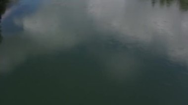 Newberg, Oregon 2018 dolaylarında. Willamette Nehri 'nin havadan görünüşü.