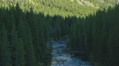 Montana 'daki güzel doğa manzarası, ABD' nin Highland hava görüntüleri.