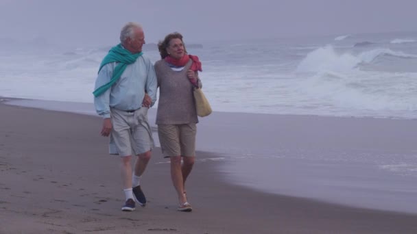 Oudere Paar Lopen Het Strand Samen — Stockvideo